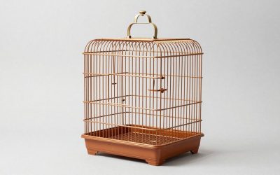 Best Bird Cages in 2026: Sizes and Bar Spacing by Species