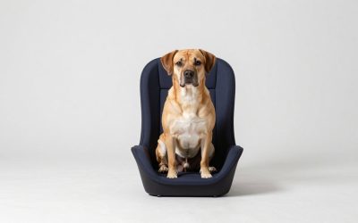 Best Dog Car Seats for Safe Travel