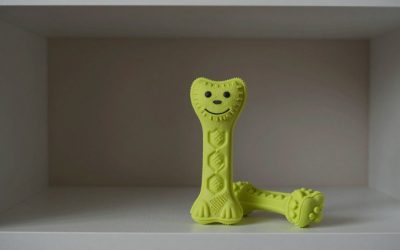 Best Dog Chew Toys by Chewer Strength and Size (2026)