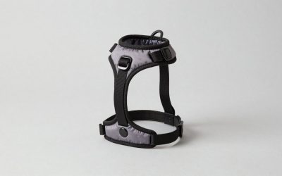 Best Dog Harnesses for Pullers (2026): 7 No-Pull Picks