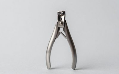 Best Dog Nail Clippers for Thick Nails: Eight Options and a Measure-First Method