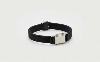 Best Dog Training Collars for Reliable Control