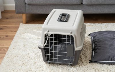 Best Gray Pet Carriers for Travel and Vet Trips (2026)