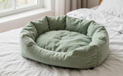 Best Heated Cat Beds for Cozy Naps