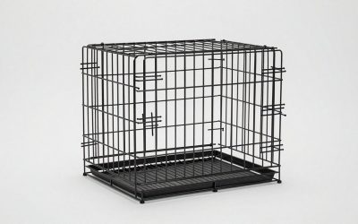 Best Heavy-Duty Dog Crates for Strong Dogs