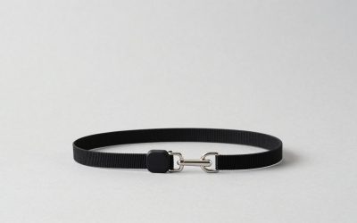 Best Leashes for Dogs That Pull (2026): 7 Picks by Type
