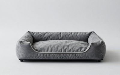 Best Orthopedic Dog Beds for Joint Support