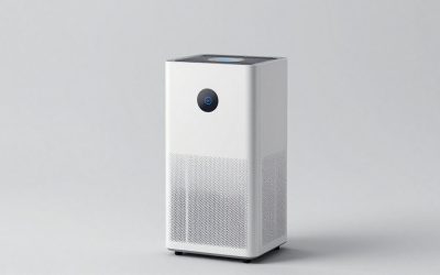 Best Pet Air Purifier For Large Rooms