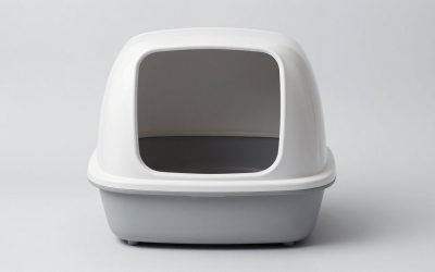 Best Self-Cleaning Litter Boxes for Easy Care